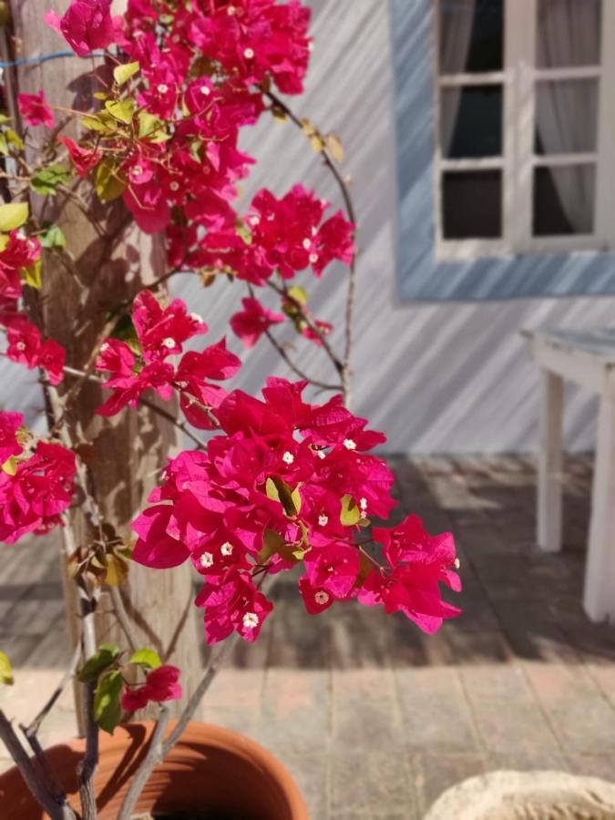 Casa Largo Do Poco Guesthouse Alvor Exteriör bild